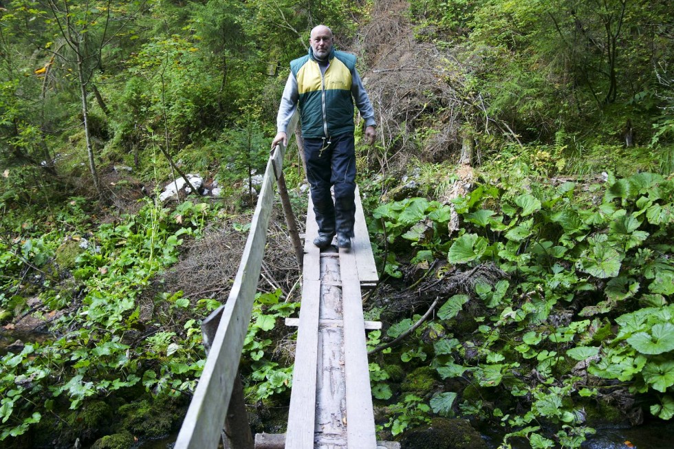 Klikni za ogled večje slike