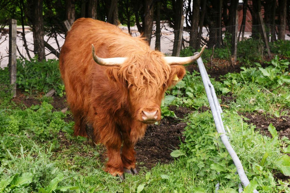 Kliknite pre zobrazenie veľkého obrázka