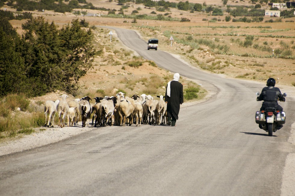 Klikni za ogled večje slike