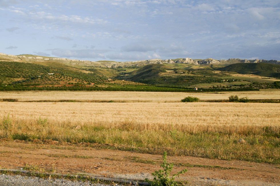 Klikni za ogled večje slike