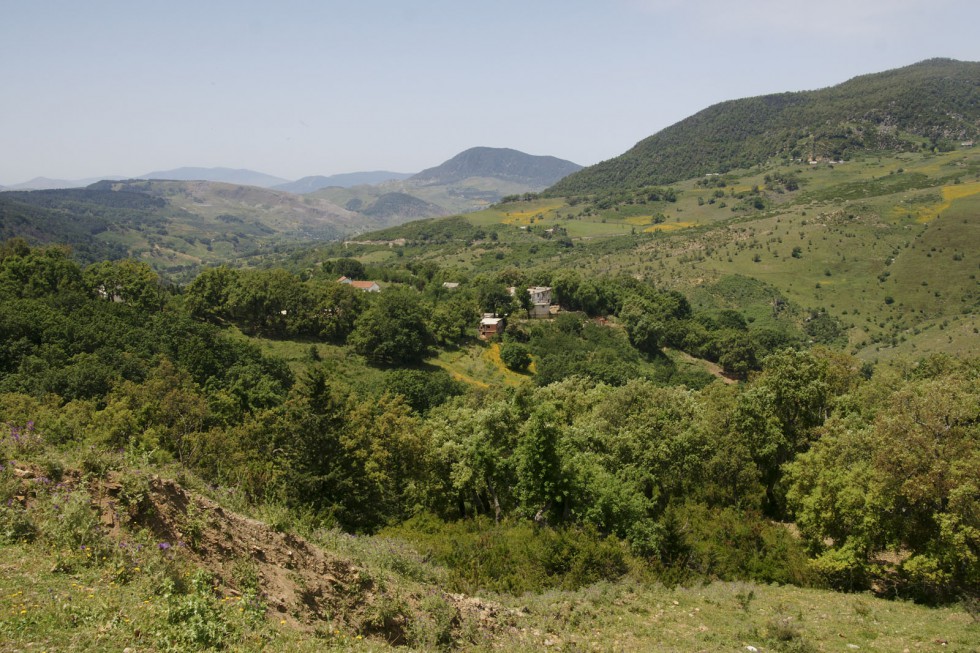Klikni za ogled večje slike