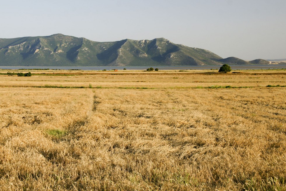 Klikni za ogled večje slike