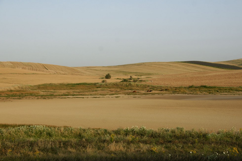 Klikni za ogled večje slike