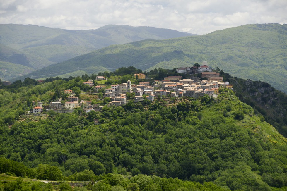 Klikni za ogled večje slike