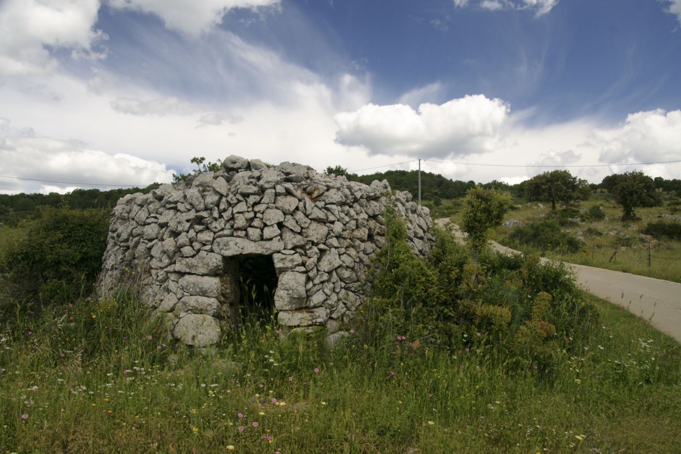 Klikni za ogled večje slike