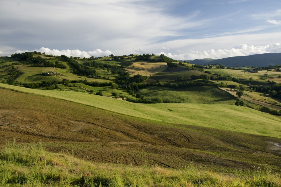 Klikni za ogled večje slike