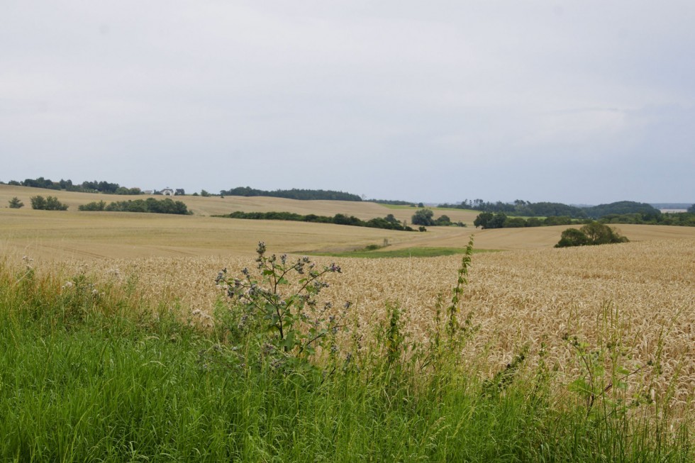 Klikni za ogled večje slike