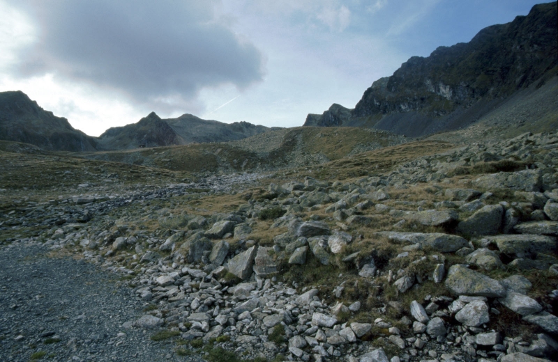 Clicca per vedere l'immagine alla massima grandezza