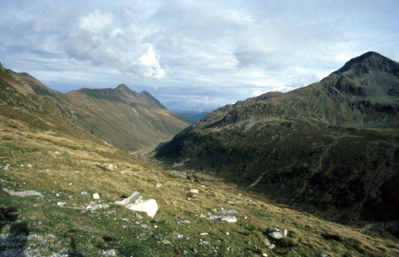 Clicca per vedere l'immagine alla massima grandezza