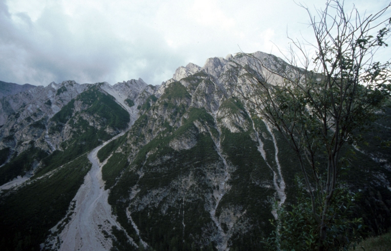 Klikni za ogled večje slike