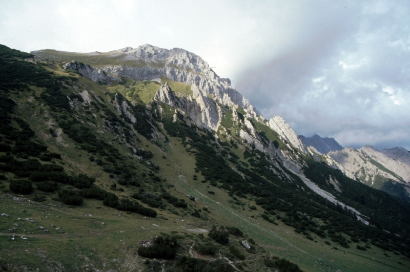 Clicca per vedere l'immagine alla massima grandezza