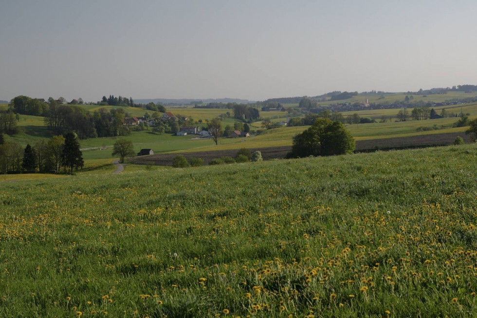 Klikni za ogled večje slike