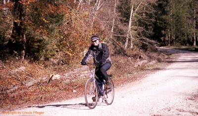 Bild10.jpg