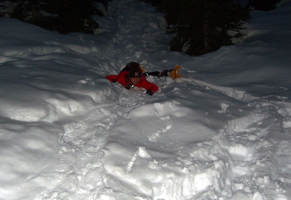 Clicca per vedere l'immagine alla massima grandezza