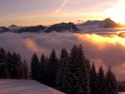 Dateiname=Bild07.jpg
Dateigröße=176KB
Abmessungen: 1600x1200
hinzugefügt am: 25. November 2008 Bild07.jpg