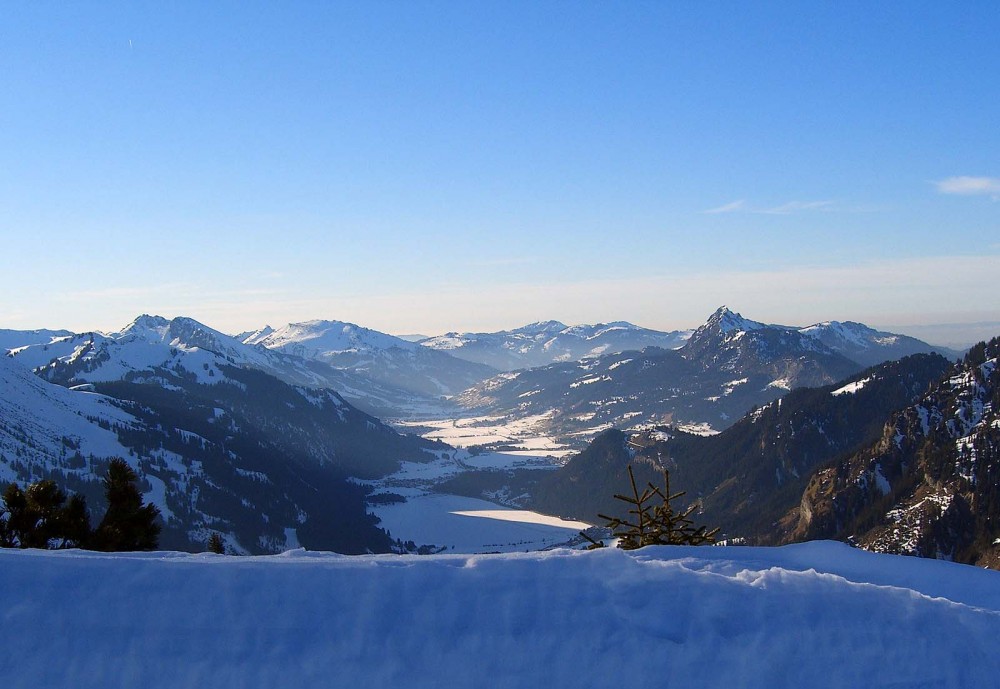 Clicca per vedere l'immagine alla massima grandezza