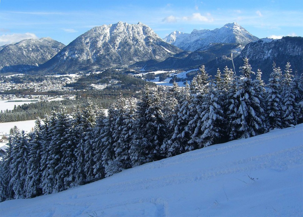 Clicca per vedere l'immagine alla massima grandezza