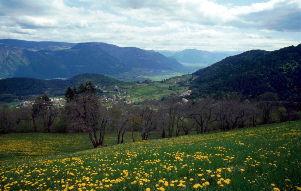 Clicca per vedere l'immagine alla massima grandezza