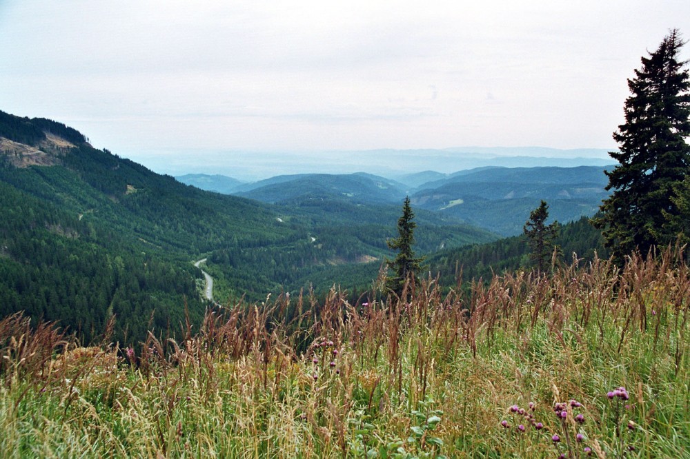 Klikni za ogled večje slike