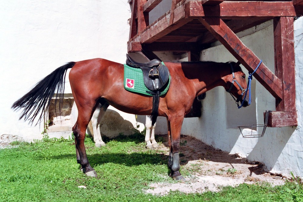 Kliknite pre zobrazenie veľkého obrázka