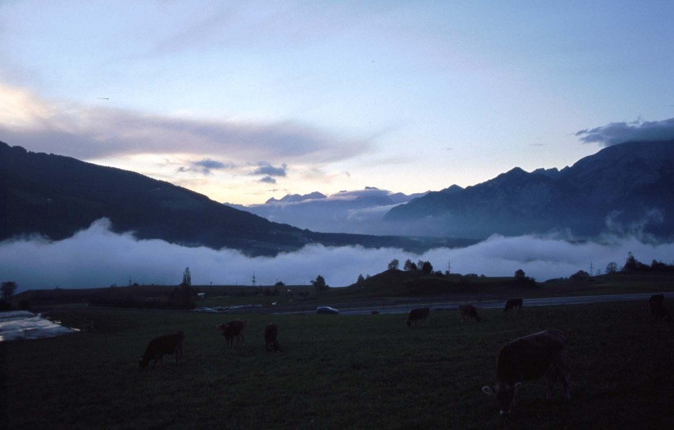 Clicca per vedere l'immagine alla massima grandezza