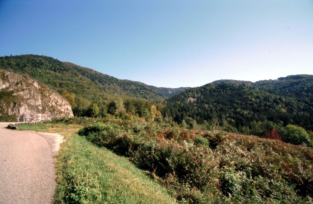 Klikni za ogled večje slike