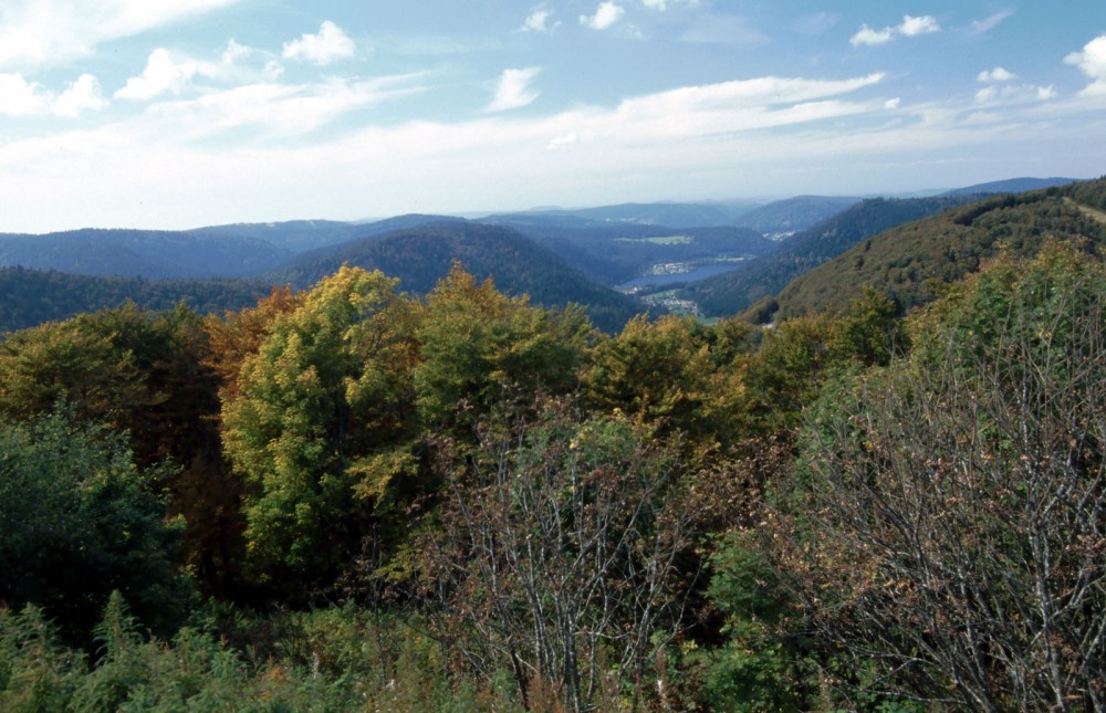 Klikni za ogled večje slike