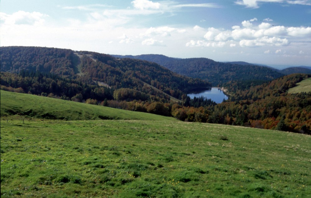 Klikni za sliku u punoj veličini