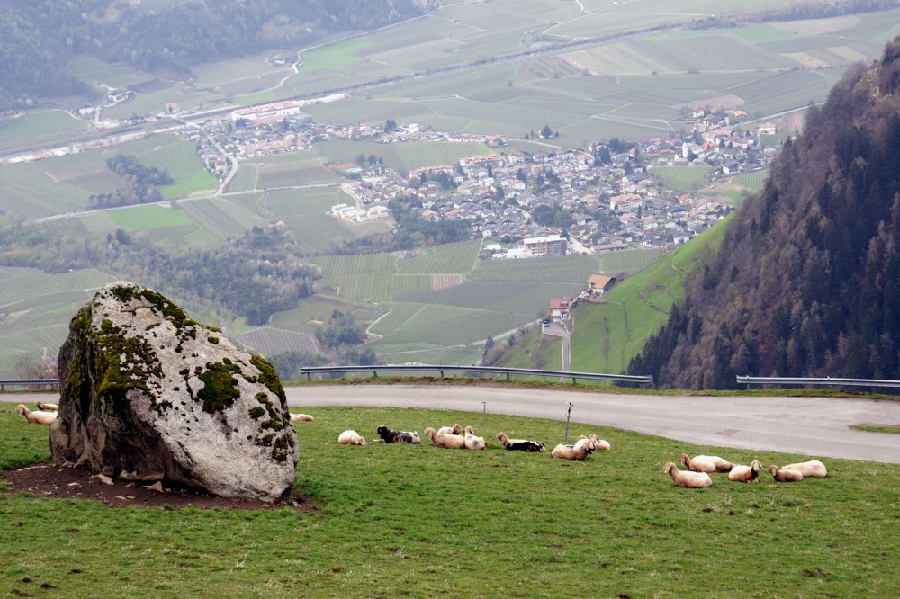 Clicca per vedere l'immagine alla massima grandezza