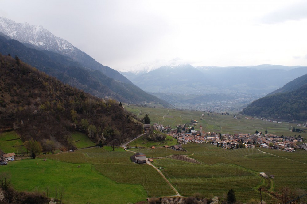 Klikni za ogled večje slike