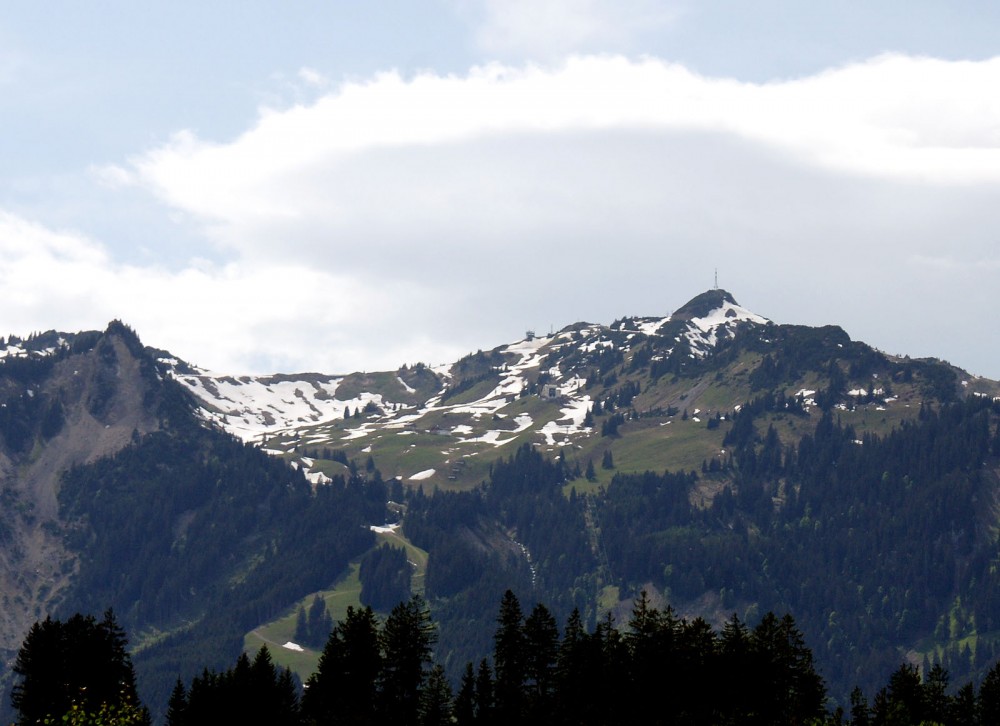 Clicca per vedere l'immagine alla massima grandezza