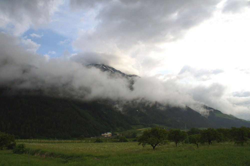 Clicca per vedere l'immagine alla massima grandezza