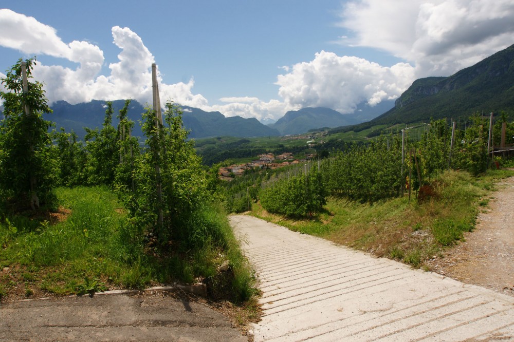 Clicca per vedere l'immagine alla massima grandezza