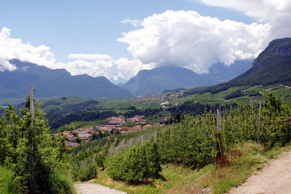 Clicca per vedere l'immagine alla massima grandezza