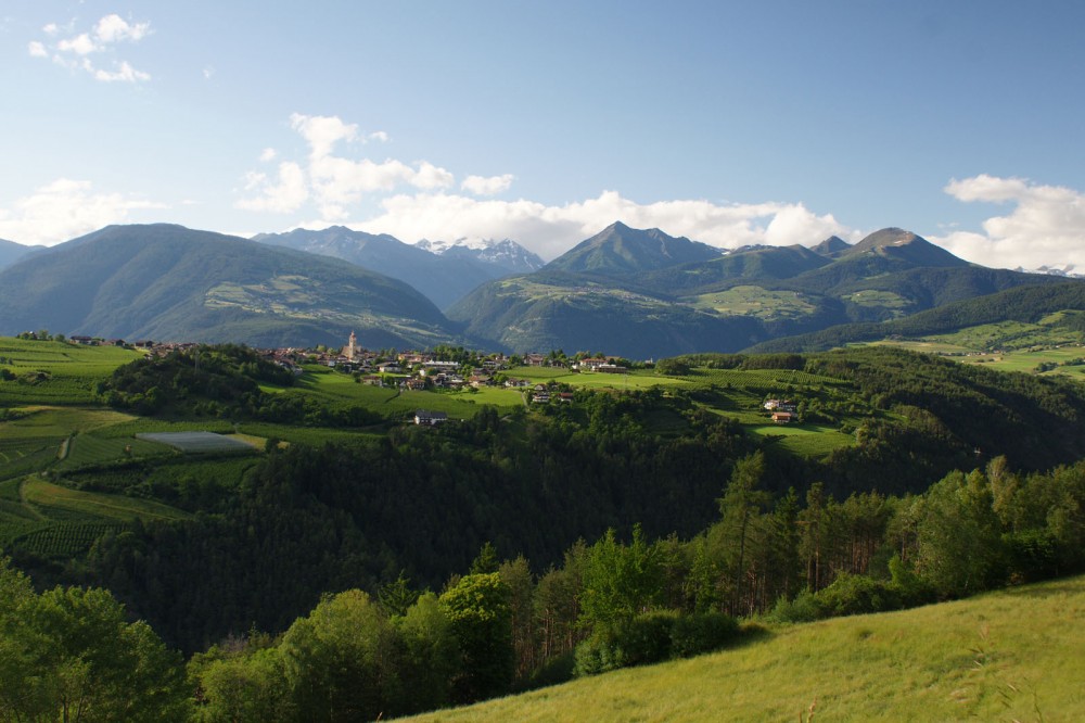 Clicca per vedere l'immagine alla massima grandezza