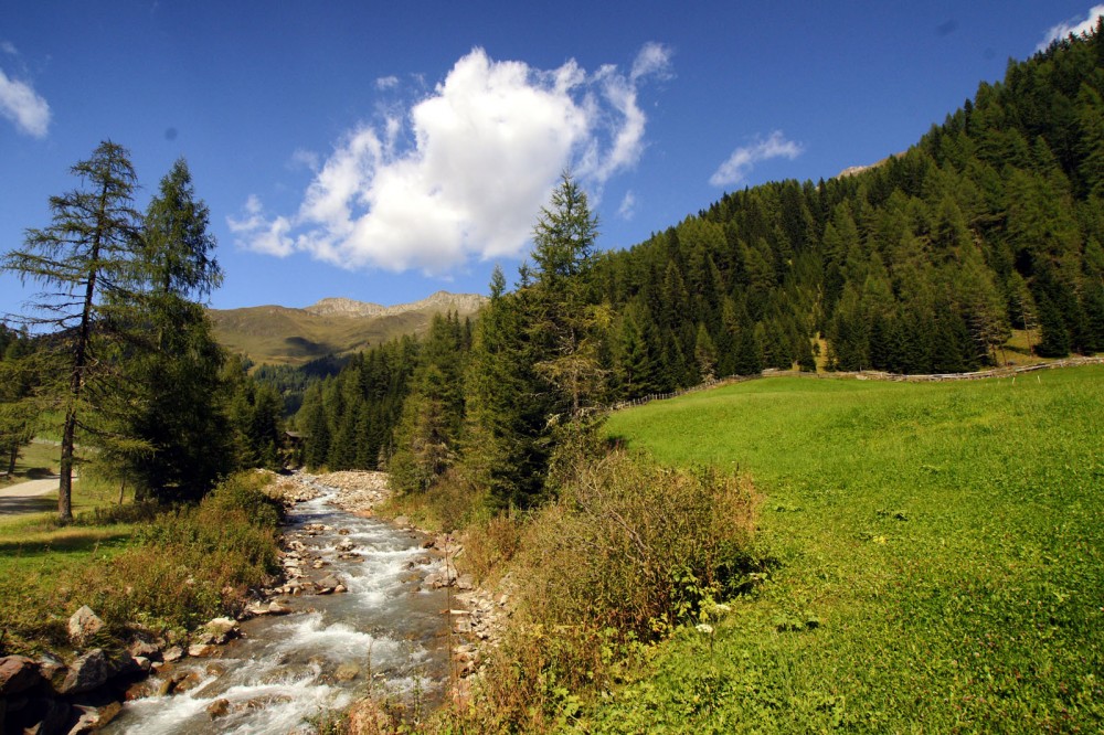 Klikni za ogled večje slike