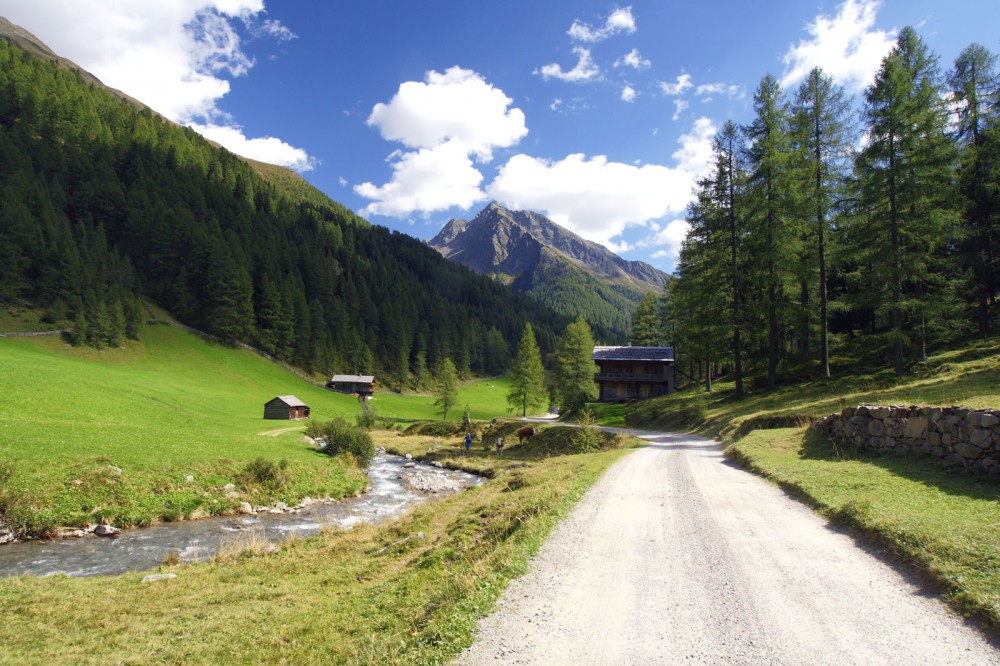 Clicca per vedere l'immagine alla massima grandezza