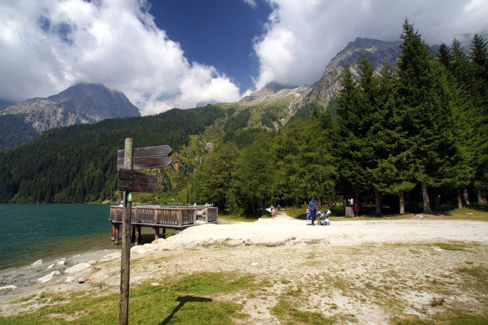 Clicca per vedere l'immagine alla massima grandezza