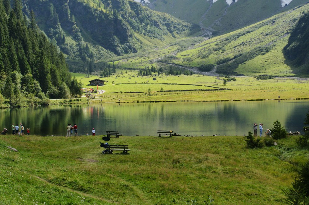 Clicca per vedere l'immagine alla massima grandezza