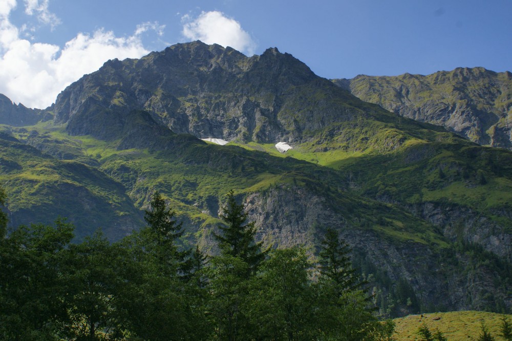 Clicca per vedere l'immagine alla massima grandezza