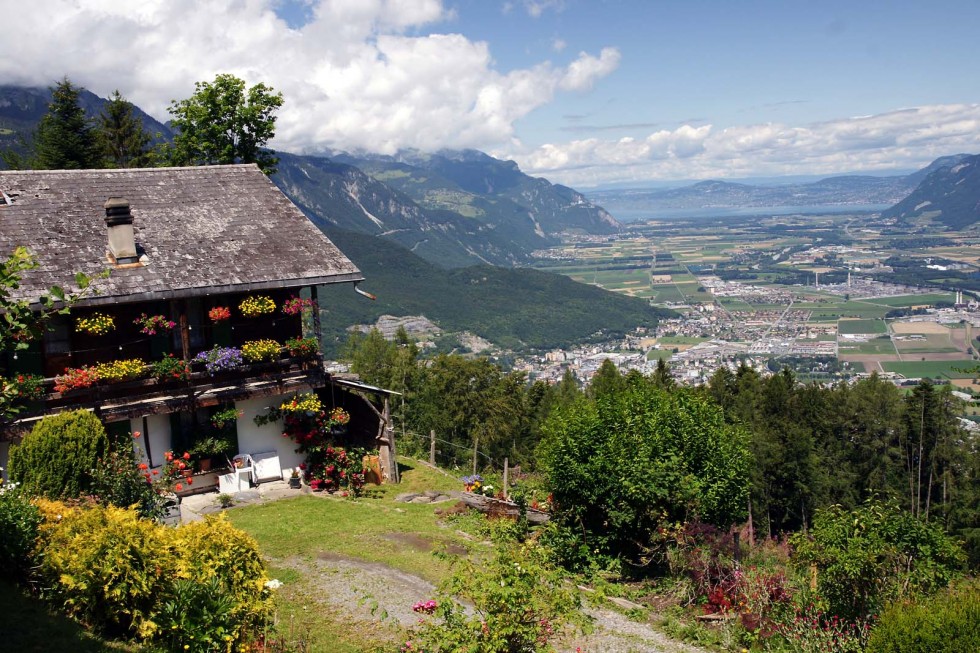 Clicca per vedere l'immagine alla massima grandezza