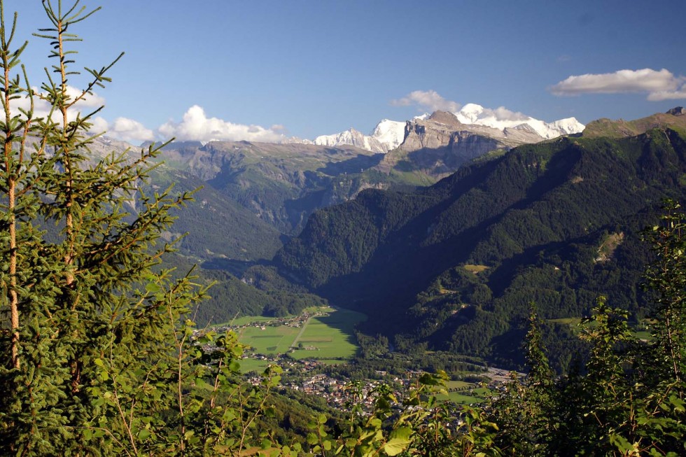 Clicca per vedere l'immagine alla massima grandezza