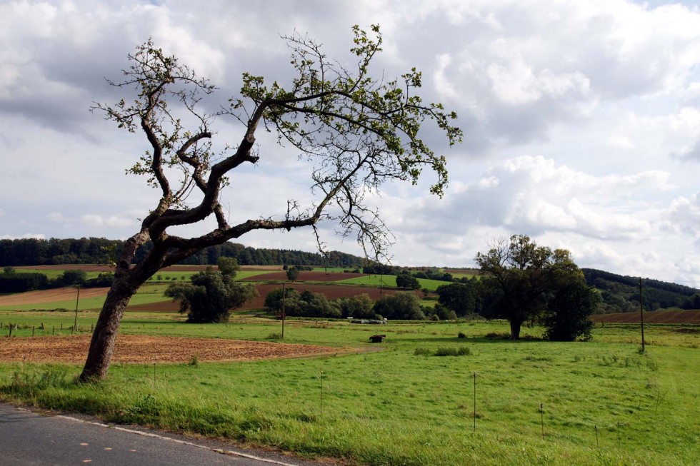 Kliknite pre zobrazenie veľkého obrázka