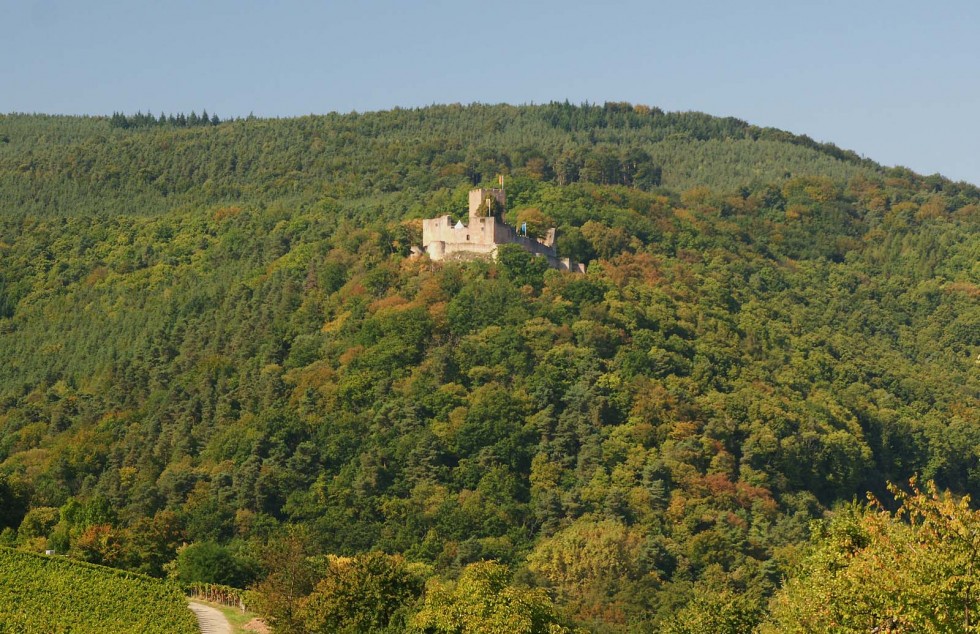 Klicken für Bild in voller Größe