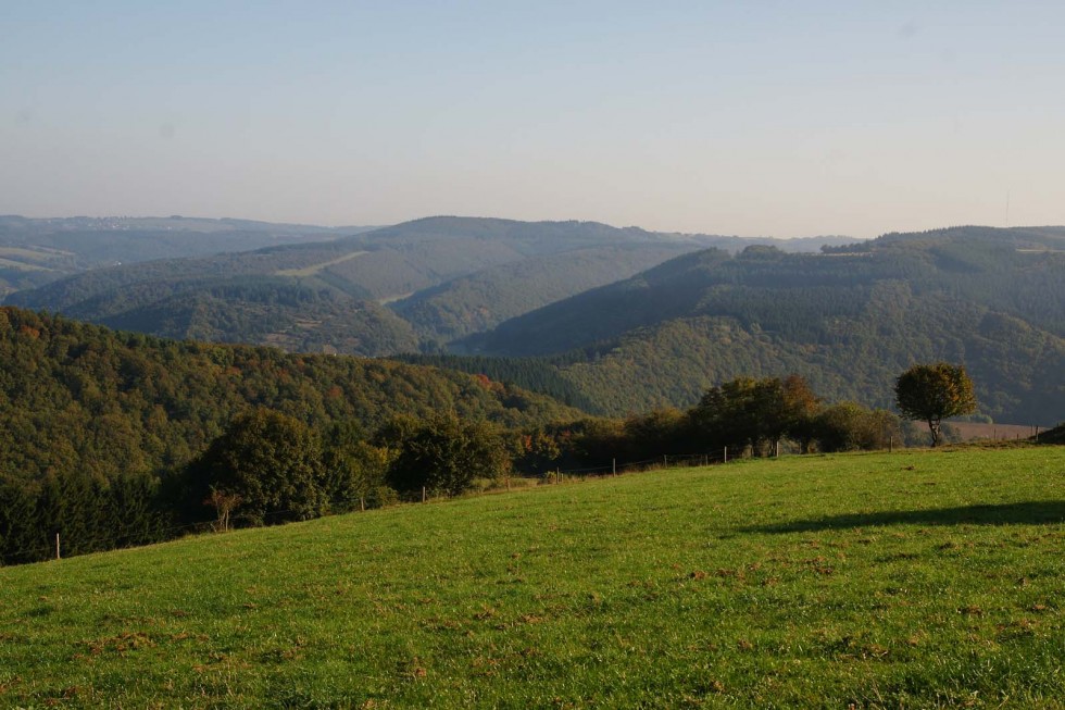 Klikni za ogled večje slike