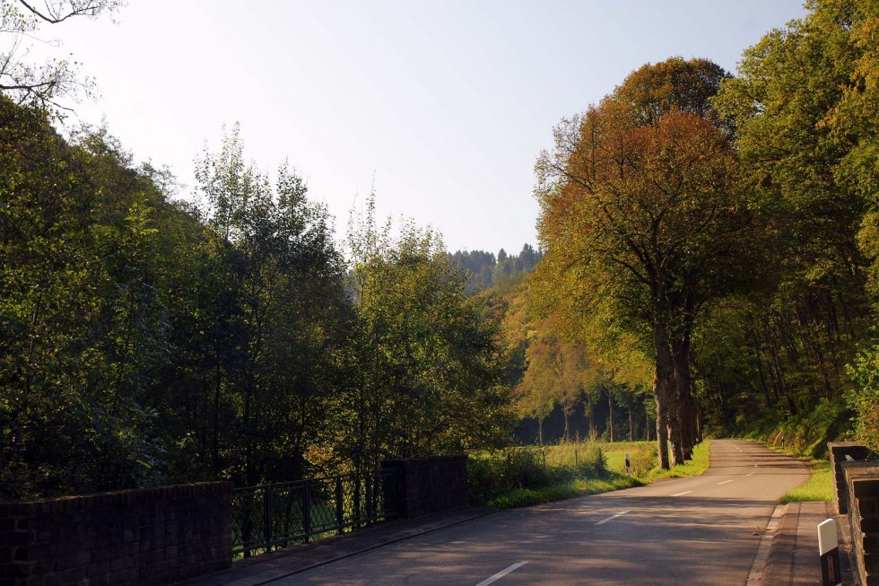 Klikni za ogled večje slike