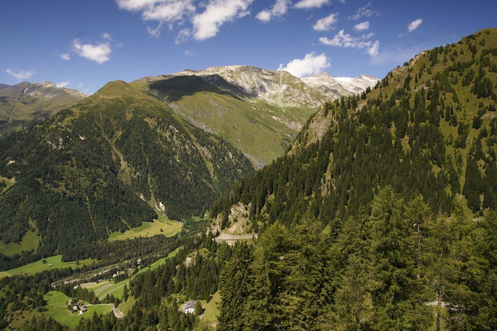 Clicca per vedere l'immagine alla massima grandezza