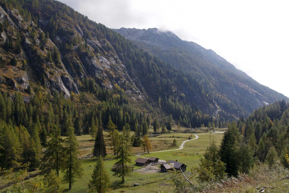 Clicca per vedere l'immagine alla massima grandezza