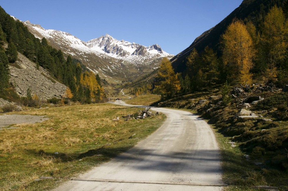 Klikni za ogled večje slike