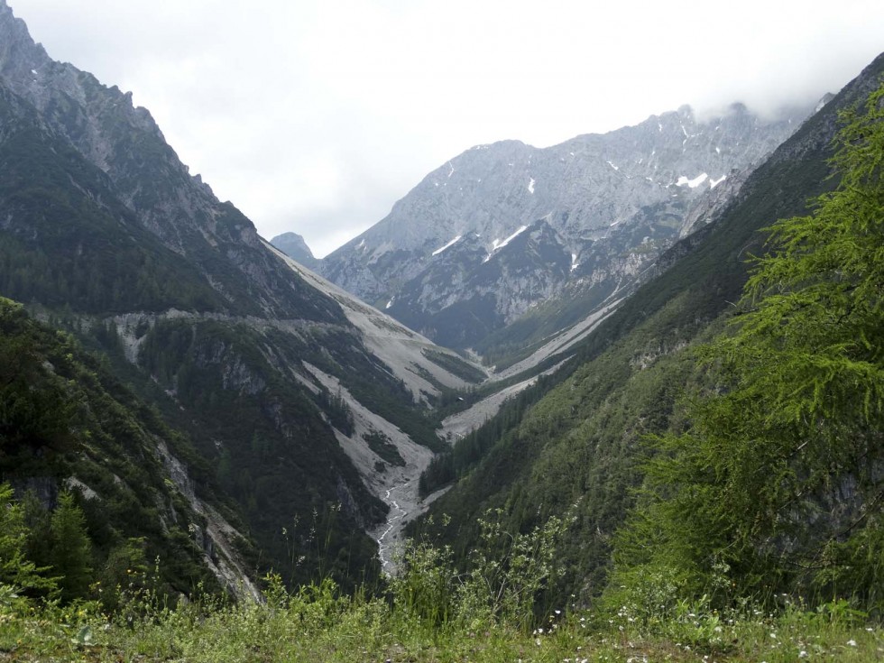 Clicca per vedere l'immagine alla massima grandezza